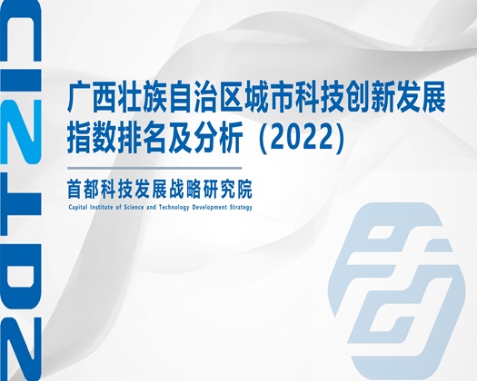 黑人干肥穴【成果发布】广西壮族自治区城市科技创新发展指数排名及分析（2022）